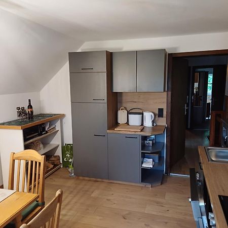 Appartement Steiner Schladming Kültér fotó