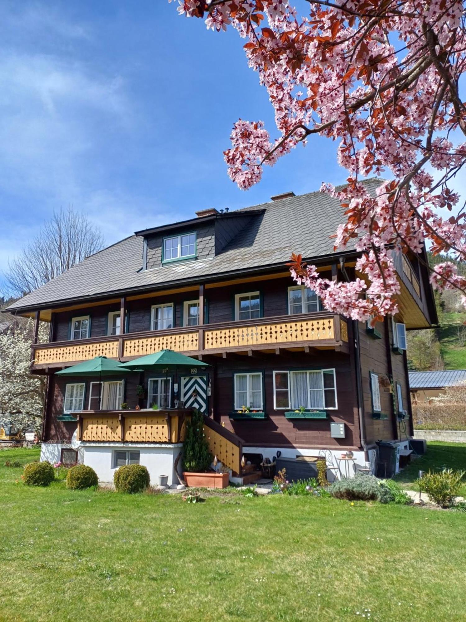 Appartement Steiner Schladming Kültér fotó