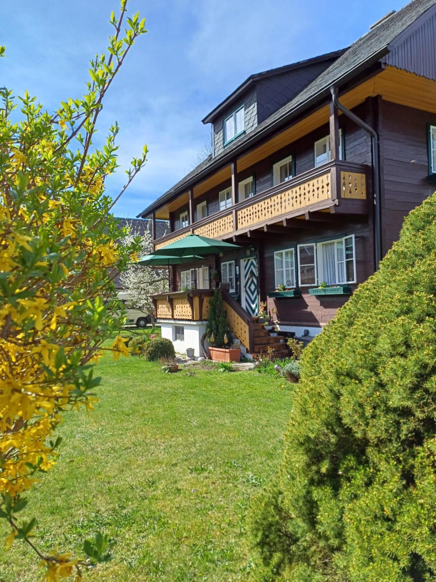 Appartement Steiner Schladming Kültér fotó
