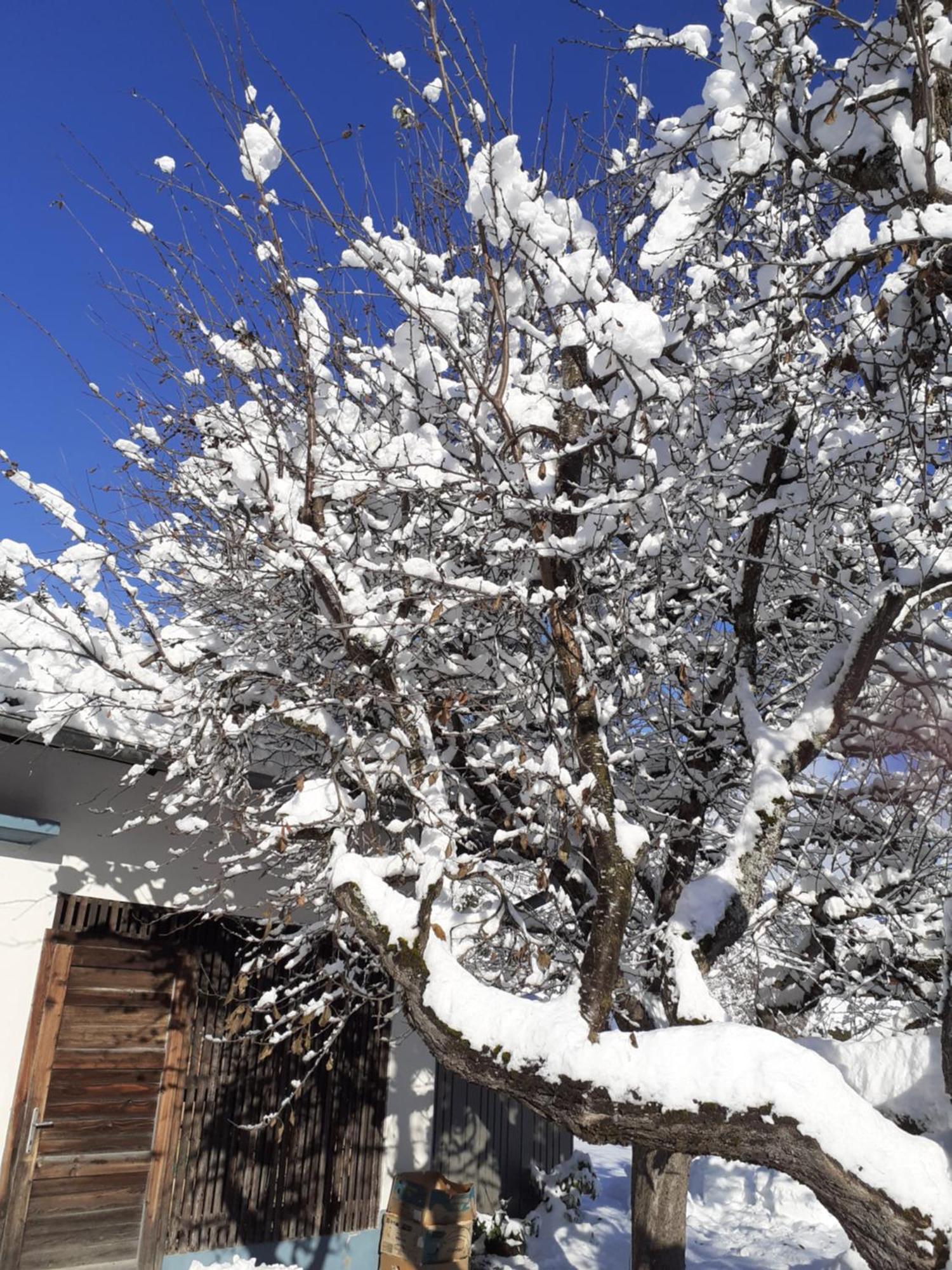 Appartement Steiner Schladming Kültér fotó